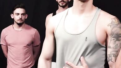 Hooded mares getting selected for the stallions