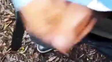 Gay black in my mouth