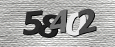 Captcha resmi