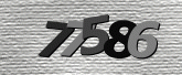 Captcha resmi