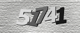 Captcha resmi